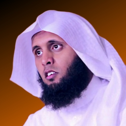 Mansour Al-Salemi